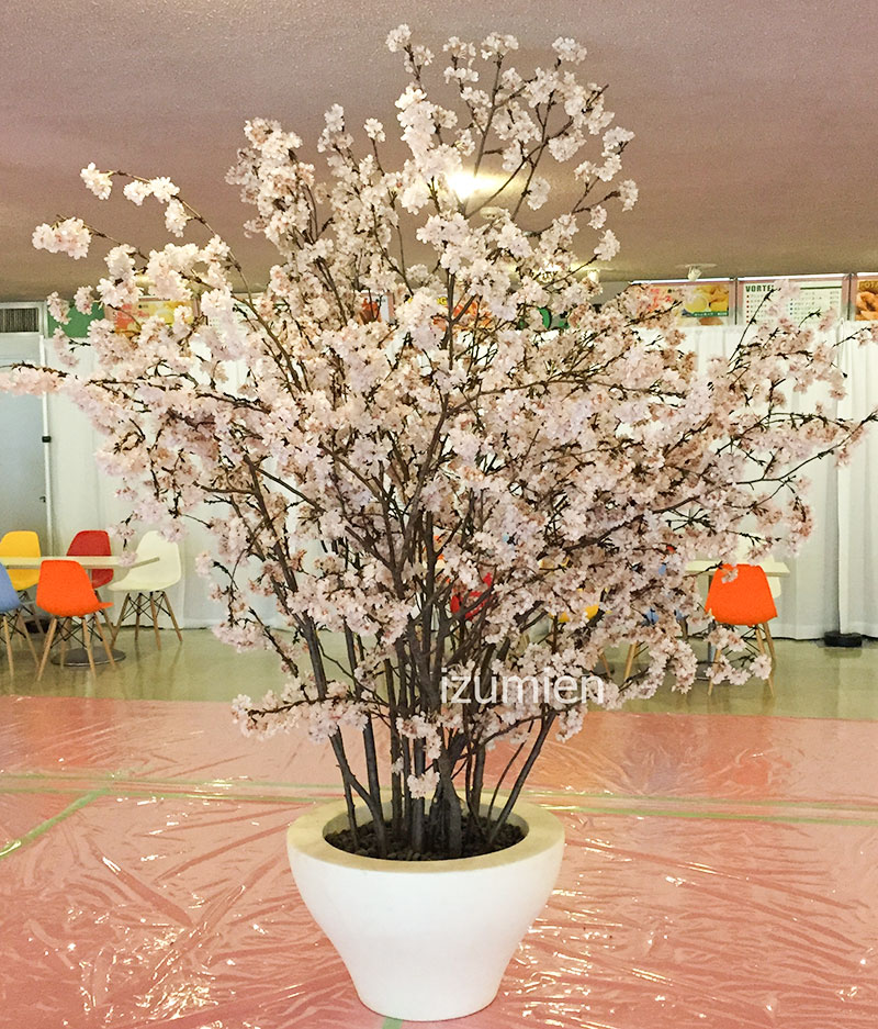 桜の木/ディスプレイ/装飾レンタル | 株式会社和泉園