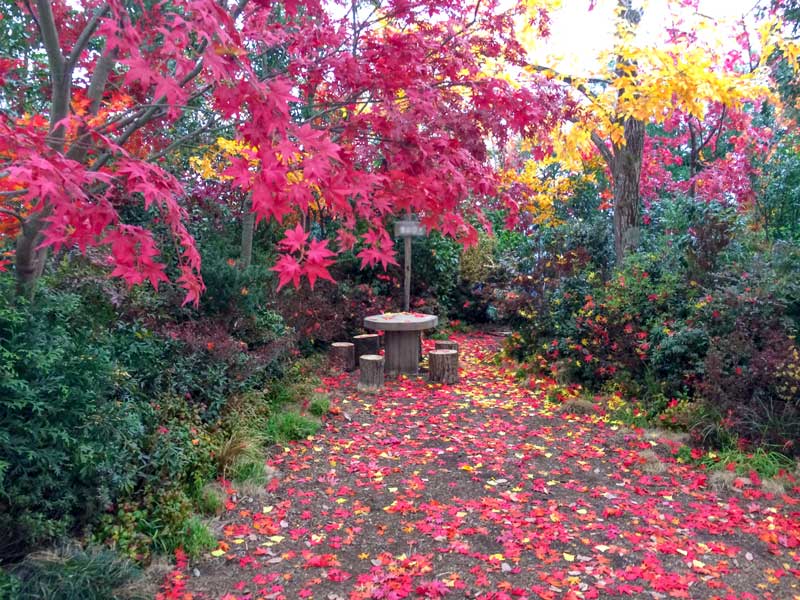 紅葉の山を再現