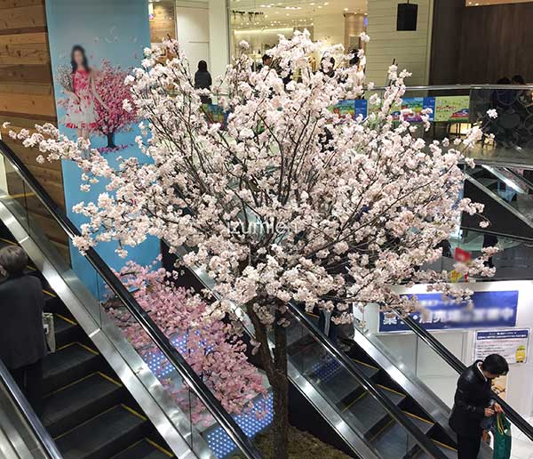 デパートの装飾に用いられた桜の造木